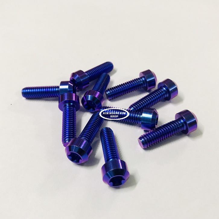 10 con Ốc Titan GR5 Đầu Trụ 6li 2 Xanh Tím (Titan 100% )