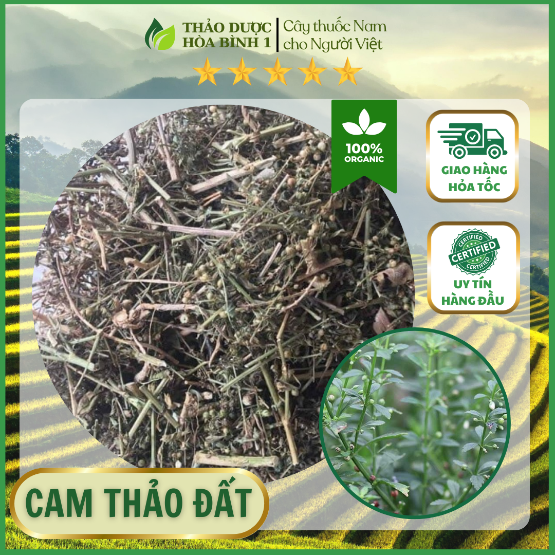 Cây cam thảo đất khô 1kg xanh thơm sạch.