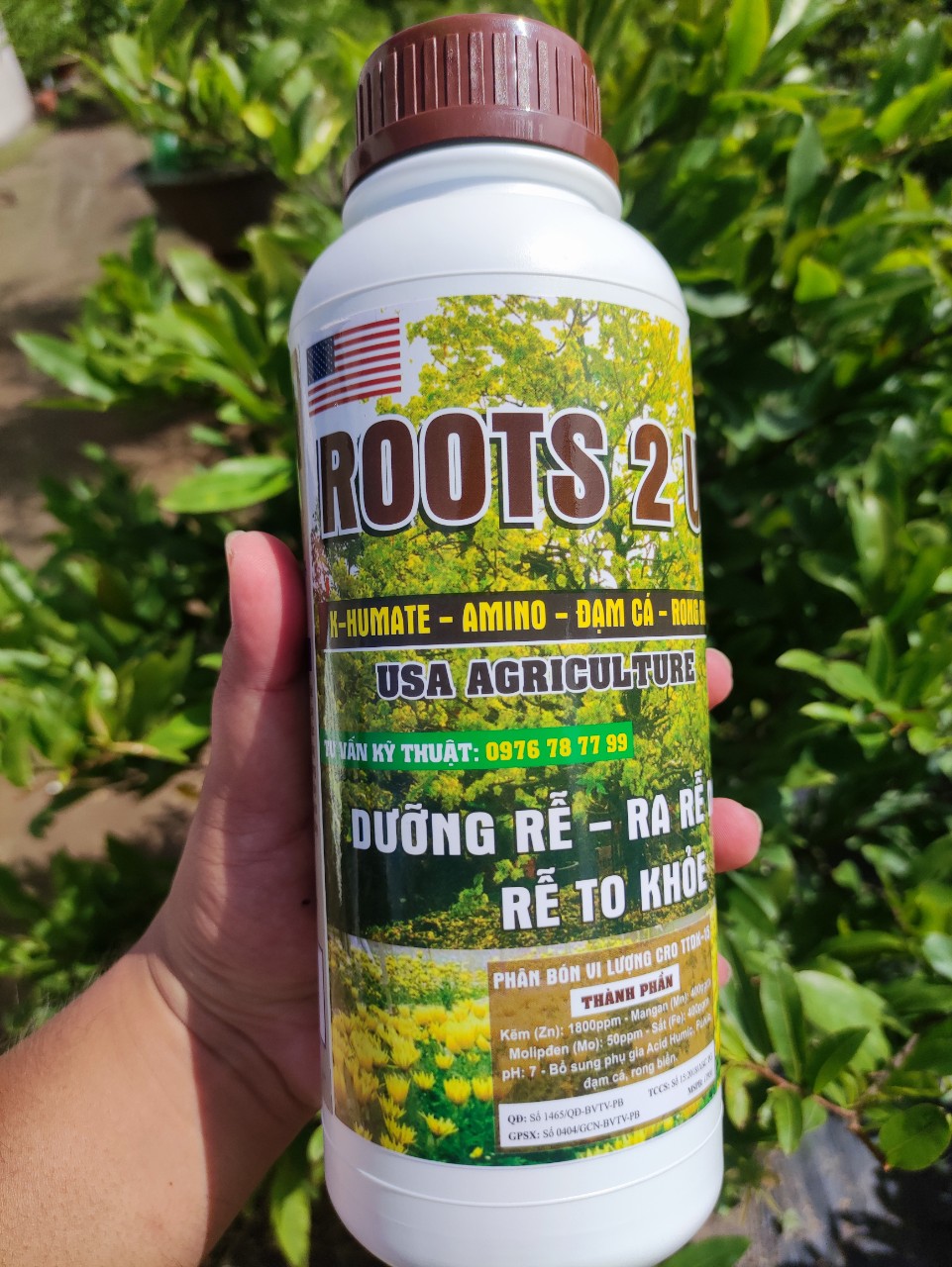 Roots 2 usa phân bón hữu cơ chuyên cho cây mai vàng, cây bonsai