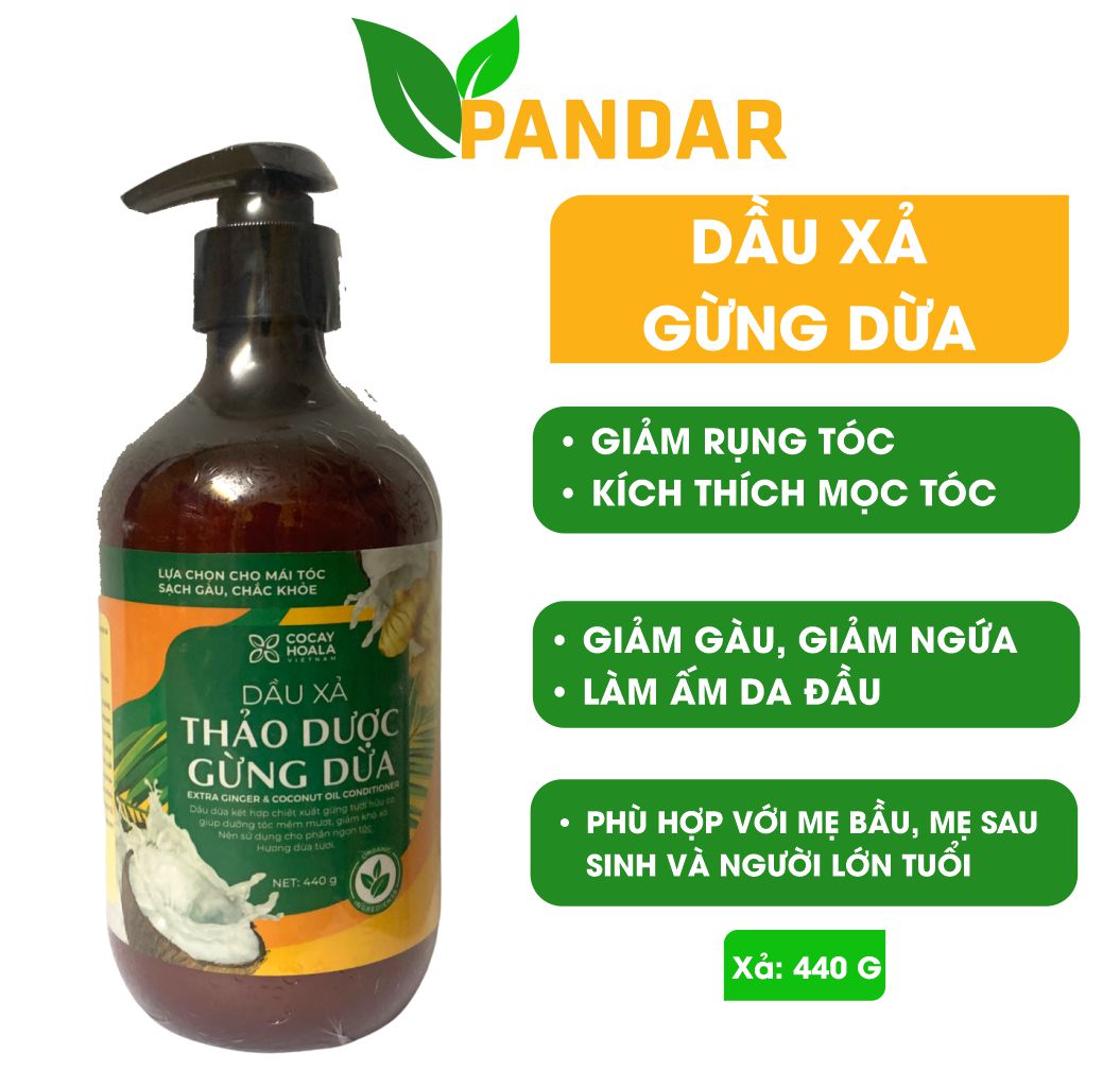 Dầu xả gừng dừa, giúp tóc mềm mượt, đánh bay gàu, giảm nấm ngứa chỉ sau 3 lần sử dụng, Cỏ cây hoa lá, PANDAR