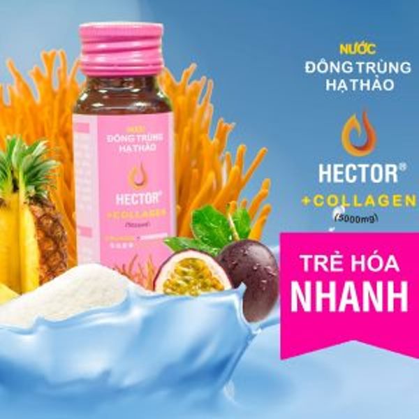 Nước Uống Trẻ Hóa Nhanh Đông Trùng Hạ Thảo Hector Collagen, Sản Phẩm Dành Cho Người Đẹp Hector Collage, Nước uống Đông Trùng Hạ Thảo Hector Collagen Trẻ Hóa Nhanh