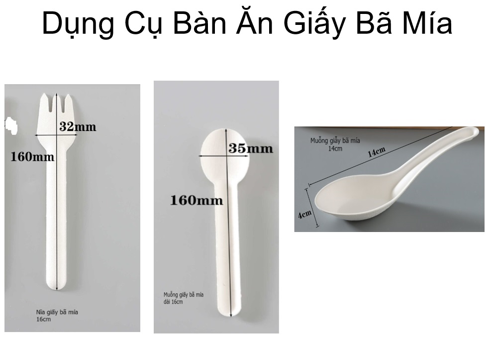 Muỗng giấy bã mía