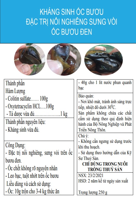 KHÁNG SINH ngừa sưng vòi, nổi nghiêng cho ốc bươu đen