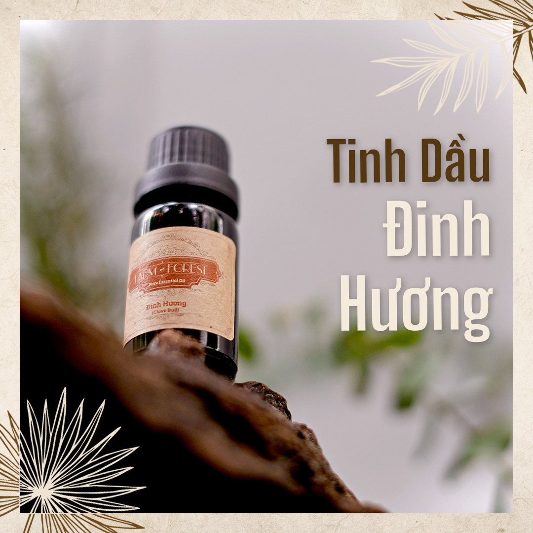 Tinh dầu đinh hương | tinh dầu thiên nhiên nguyên chất | farm & forest | trầm tĩnh, khử mùi