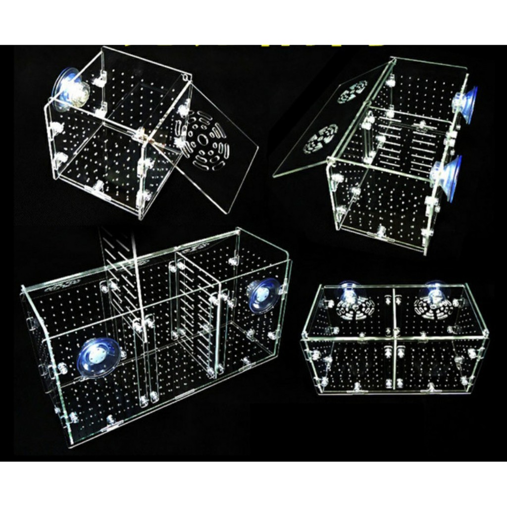 Lồng tách dưỡng tép cá Mica siêu trong