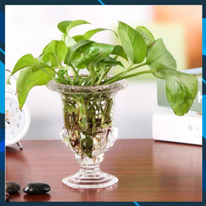 Ly đựng phật thủ trang trí- Ly thủy tinh trang trí nhà cửa,cắm hoa tiện lợi, Ly đựng thủy tinh chắc chắn cắm hoa, phật thủ trang trí không gian trong nhà