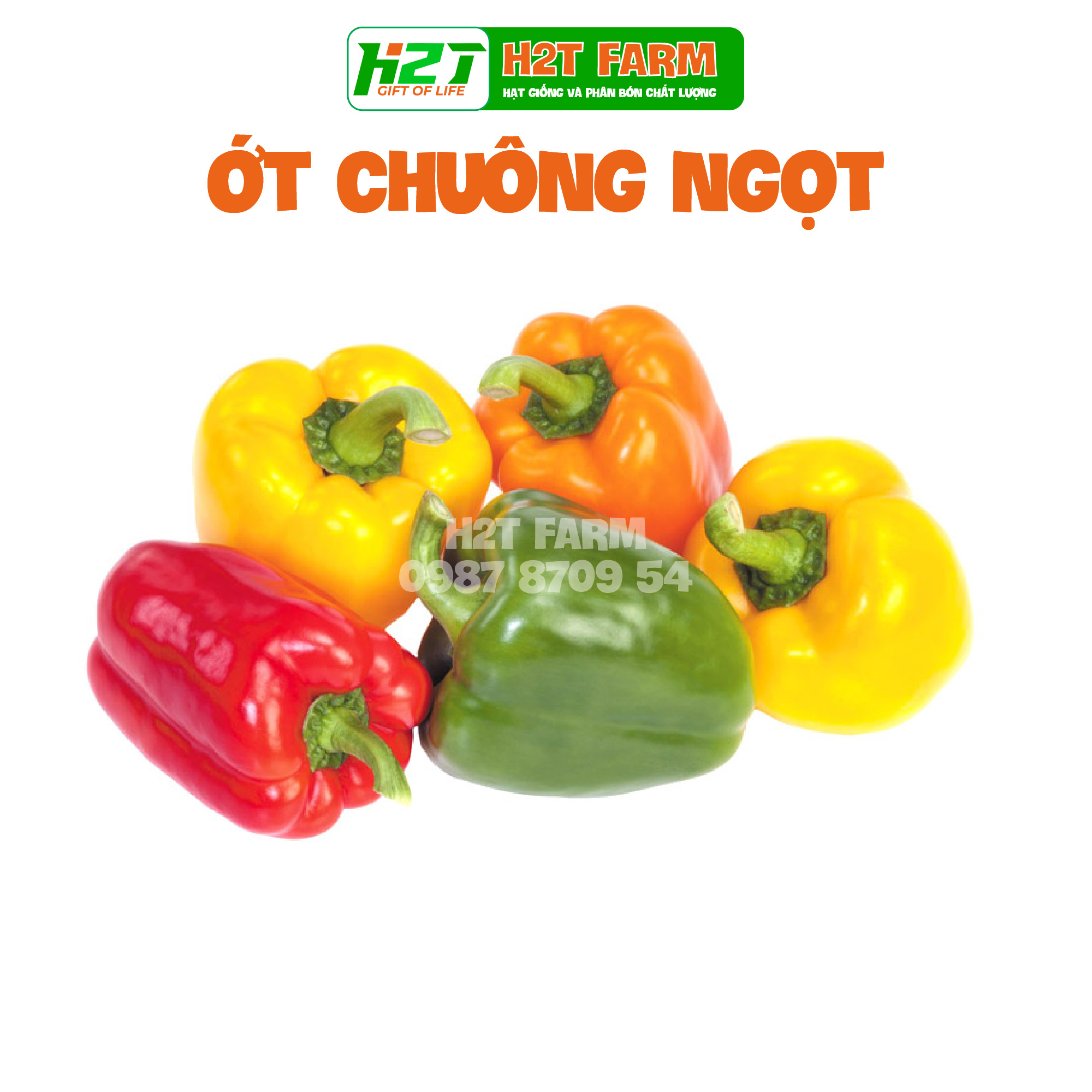 Hạt giống ớt chuông sai trái - h2t farm