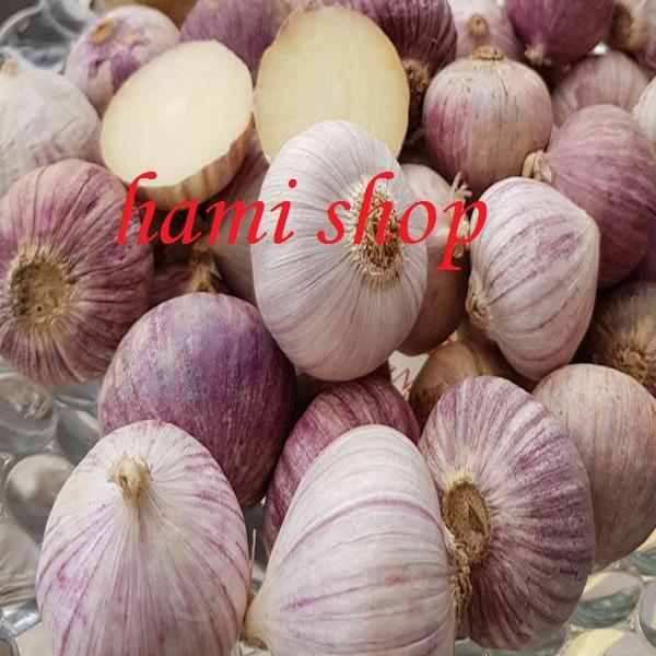Tỏi cô đơn Phan Rang loại 1