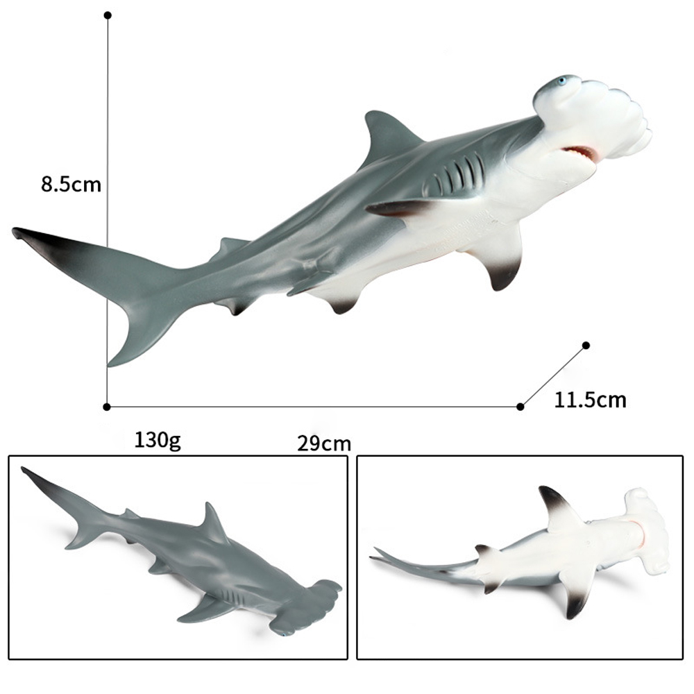 Mô hình động vật cá mập đầu búa vỏ sò - cá nhám búa