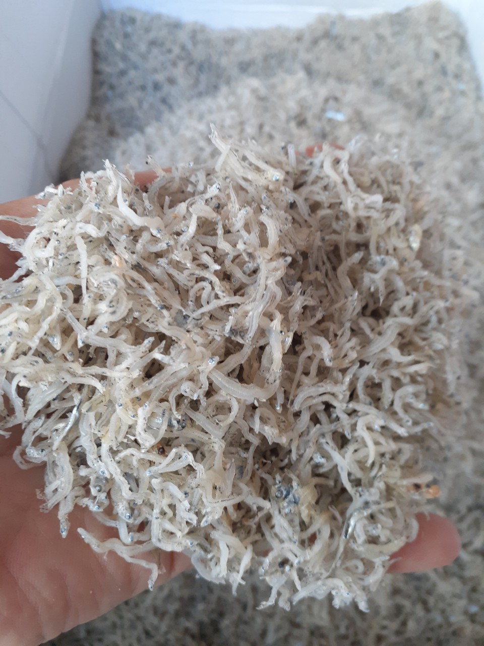 cá cơm 500gram - khô cá cơm - cá cơm mờm sữa