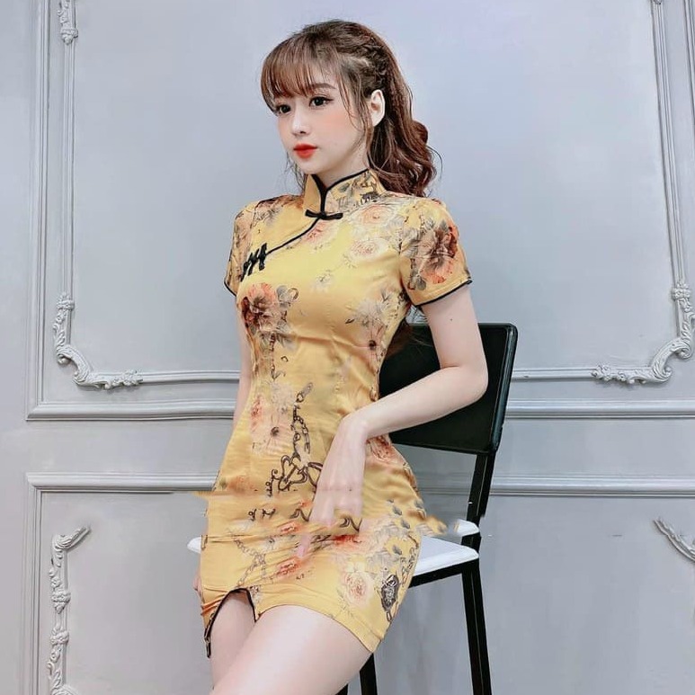 [HCM][ Mẫu Mới ] Sườn Xám Nữ Body Cổ Tàu Tay Ngắn Nền Hao Thời Trang Công Chúa