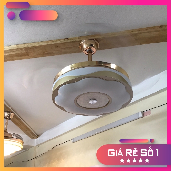 Quạt đèn trần giấu cánh sang trọng - . ms 8074 -