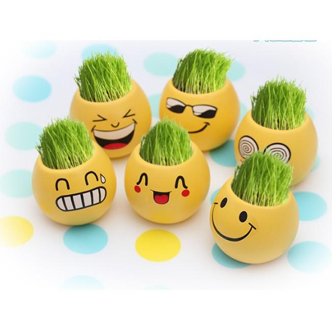 Chậu cây để bàn mini mặt cười
