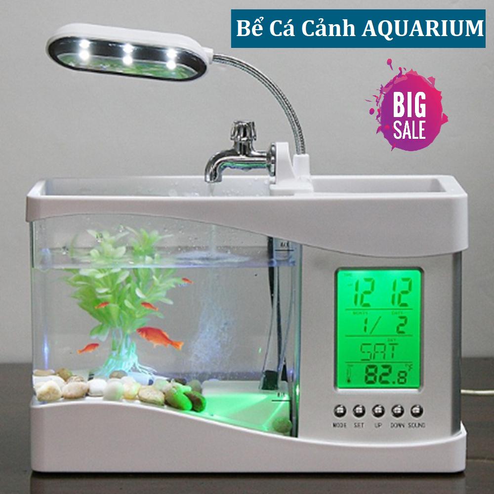 Bể cá phong thủy, Nuôi cá cảnh, Bể Cá Cảnh USB Mini AQUARIUM Kiểu Dáng Đẹp, Thiết Kế Phong Thủy Để Bàn Làm Việc Độc Đáo, Đi Kèm Bộ Lọc Tràn Và Đèn Led - Top 5 Bể Cá Phong Thủy Bán Chạy.
