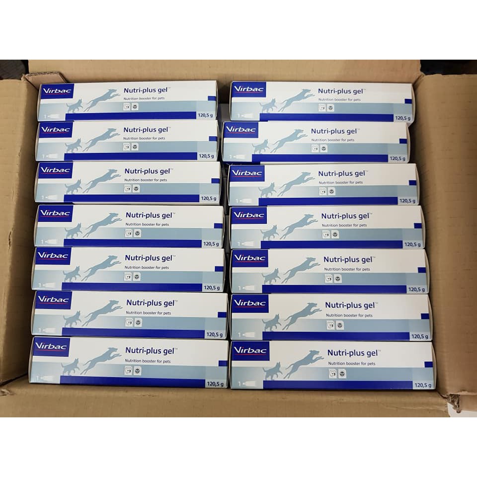 Gel dinh dưỡng cho chó mèo Nutri plus gel virbac
