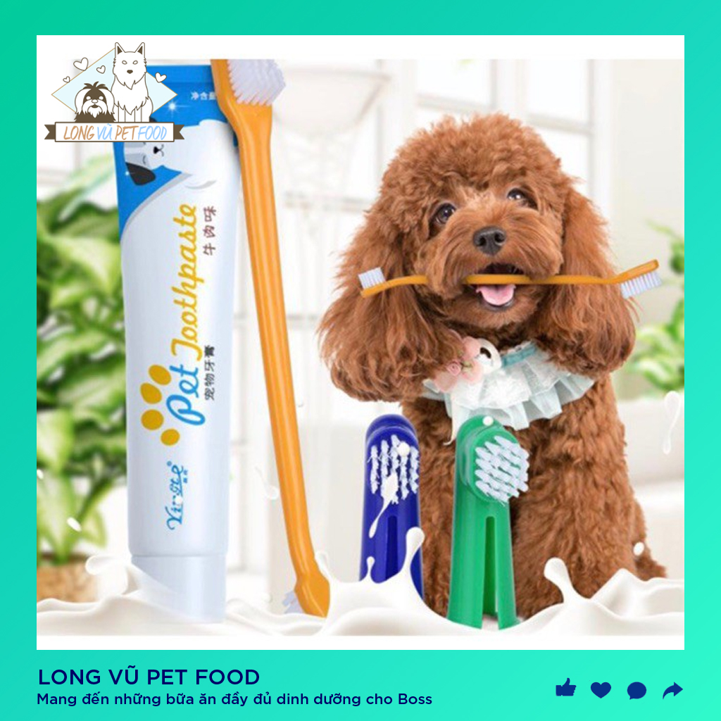 Bộ bàn chải và kem đánh răng chó mèo - Bàn chải đánh răng cho chó mèo - Long Vũ Pet Food