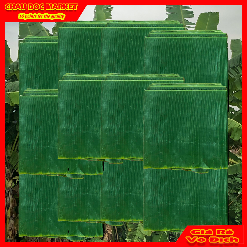 Lá Chuối Tươi 1 Kg Dùng Gói Các Loại Bánh Ú. Bánh Tét Đặc Trưng Của Miền Tây.