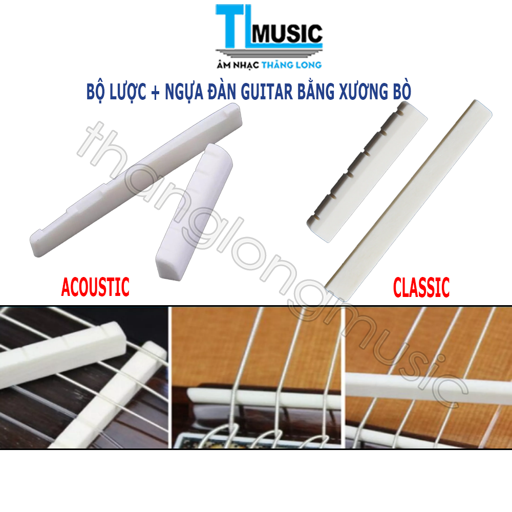 1 Bộ Ngựa Và Lược Đàn Guitar Acoustic & Classic Bằng Xương Bò - Nut and Bridge Bone Guitar Acoustic & Classic