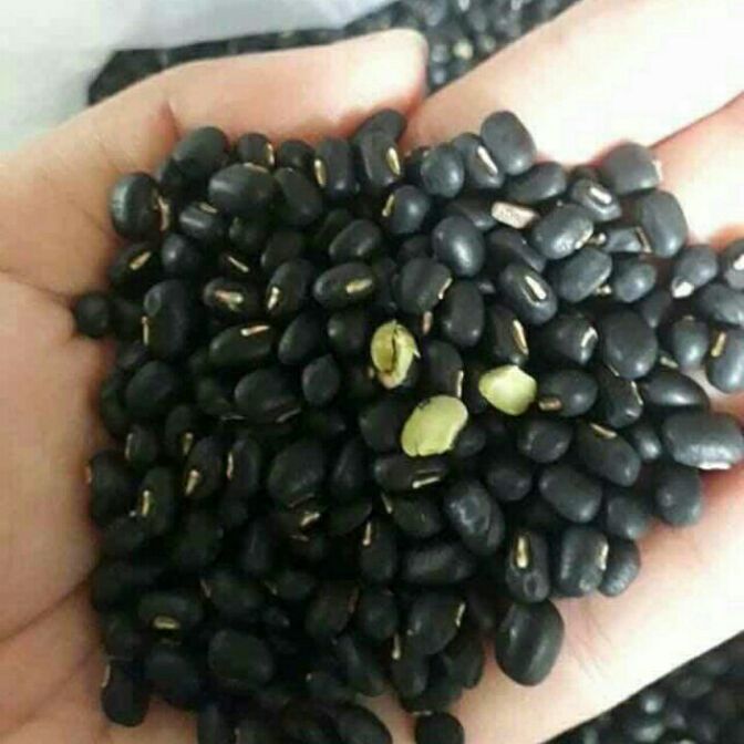 1kg đậu đen xanh lòng hạt nhỏ nhà trồng
