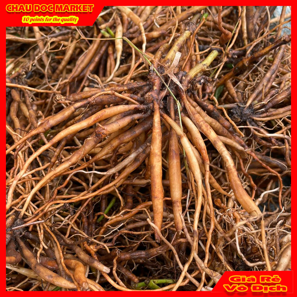 Củ sâm đất tươi gói 1kg vùng thất sơn dùng nấu nướng uống hay ngâm rượu.