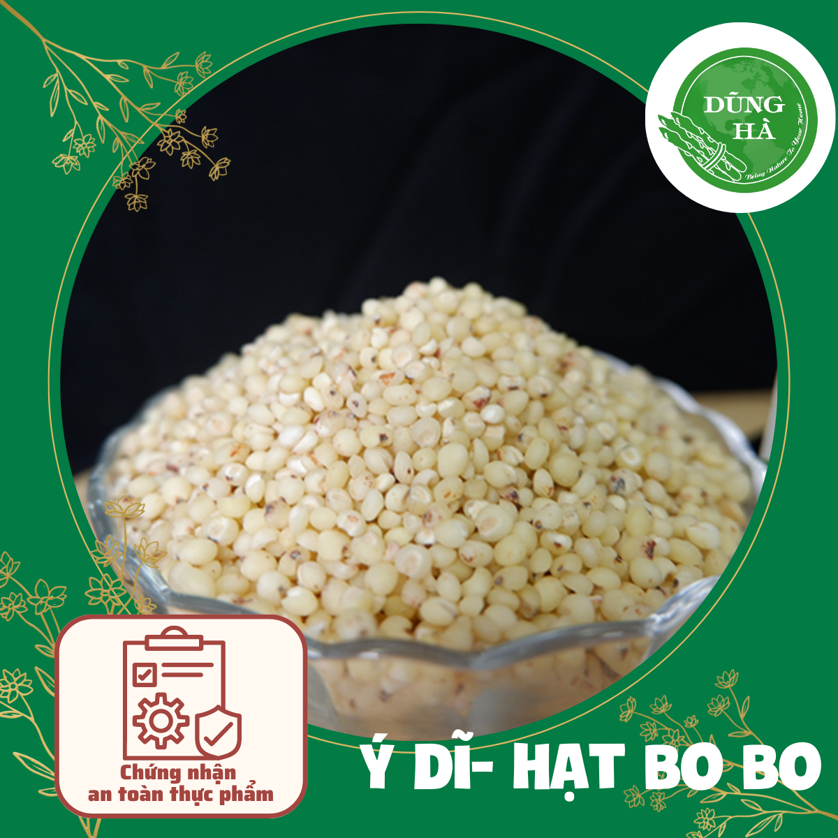 Ý dĩ - hạt bo bo