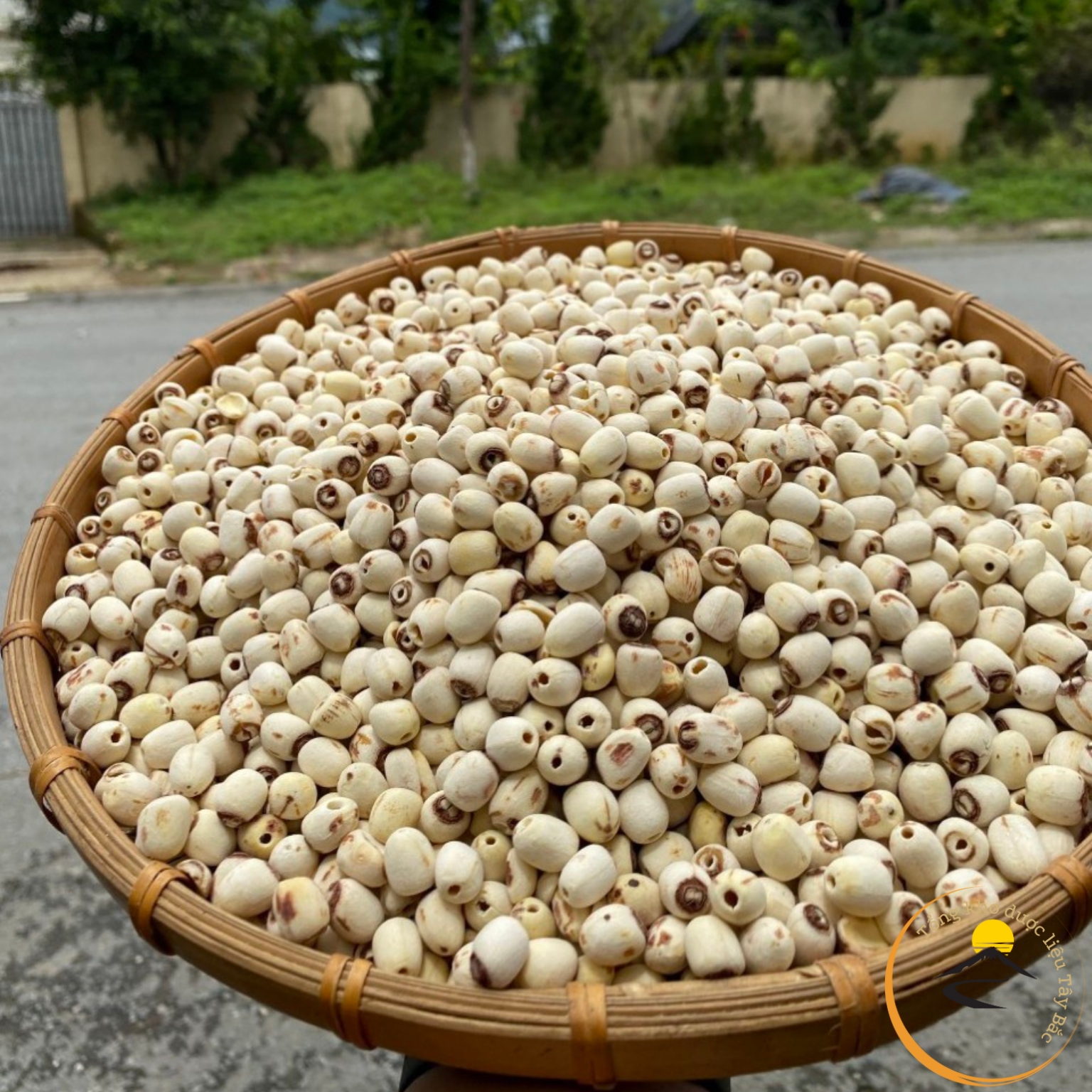 Hạt sen khô huế loại 1 ngon thơm bở, trà hạt sen sấy khô hữu cơ giúp ngủ ngon dễ ngủ, nấu chè, nấu sữa, ăn dặm cho bé