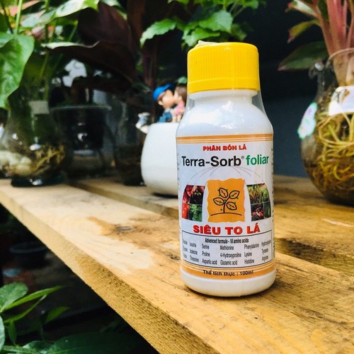 Phân bón Terra Sorb Foliar Siêu To Lá Growmore 100ml