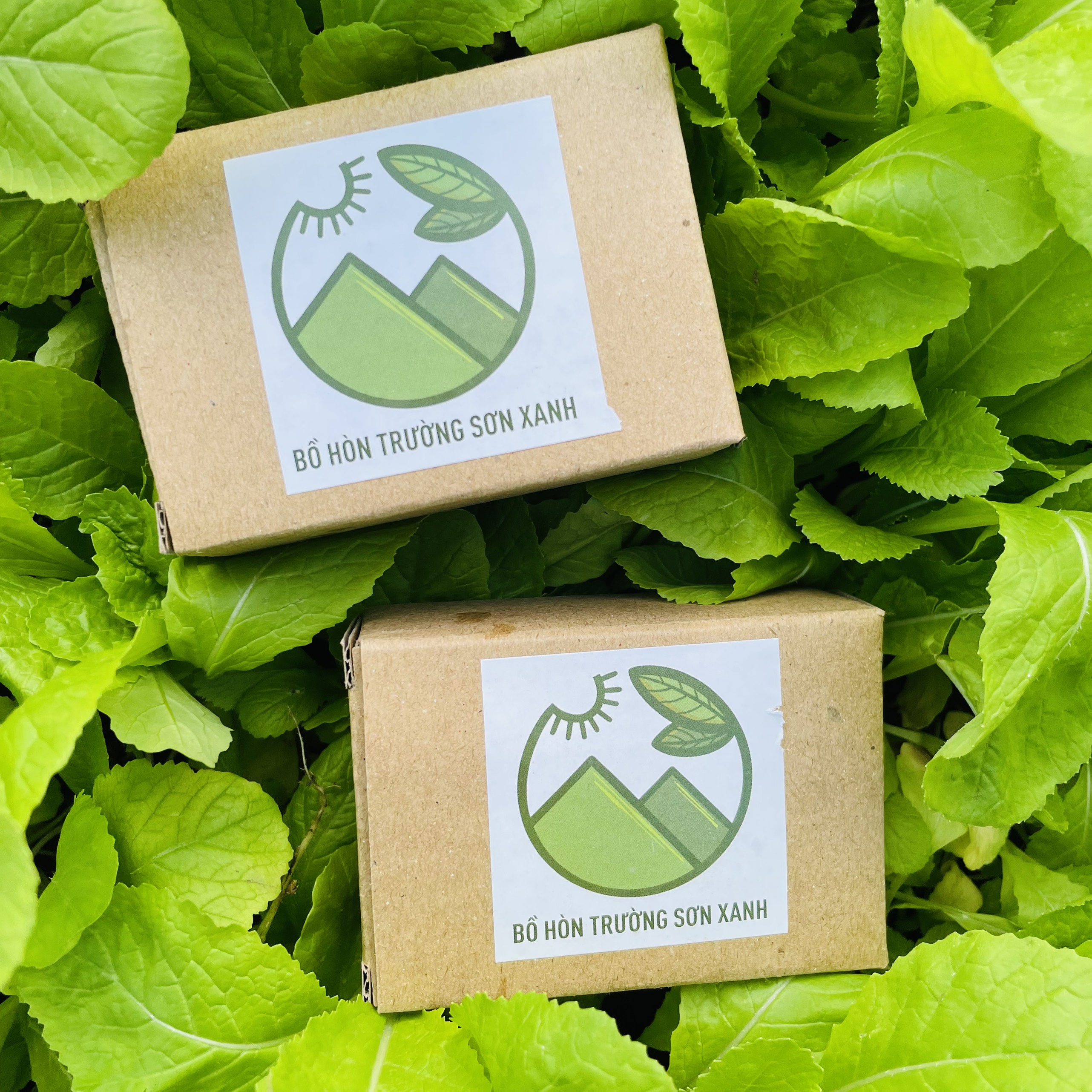 Quả Bồ Hòn Tây Nguyên Tách Hạt - anngaydi