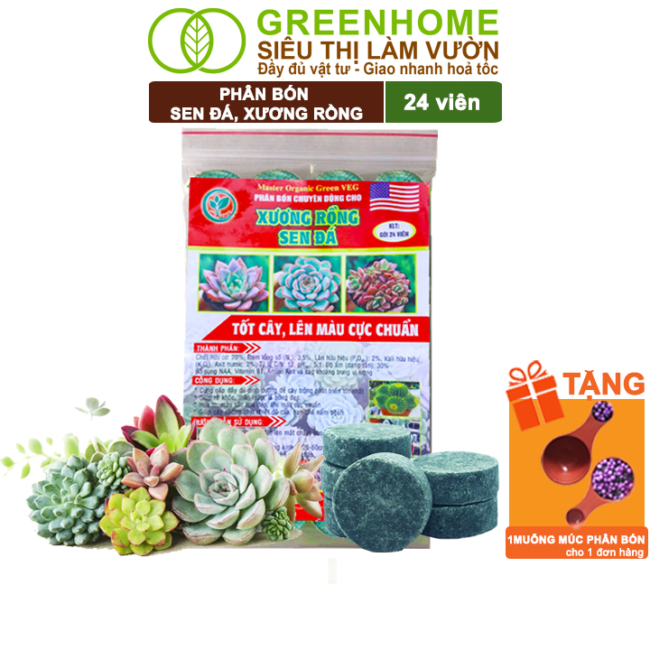 Phân bón sen đá greenhome, gói 24 viên, kích rễ, lên màu chuẩn, dùng cho cây mọng nước, xương rồng