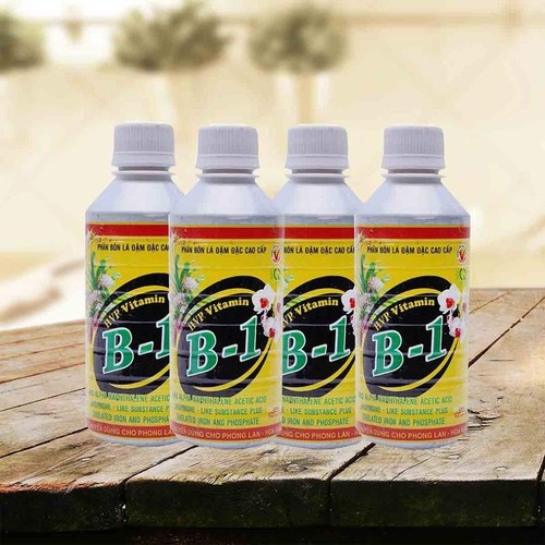 Bộ 5 Phân bón đậm đặc HPV Vitamin B1 cho Phong Lan 250ml - Tăng cường mạnh bộ rễ, nâng cao sức đề kháng với cây