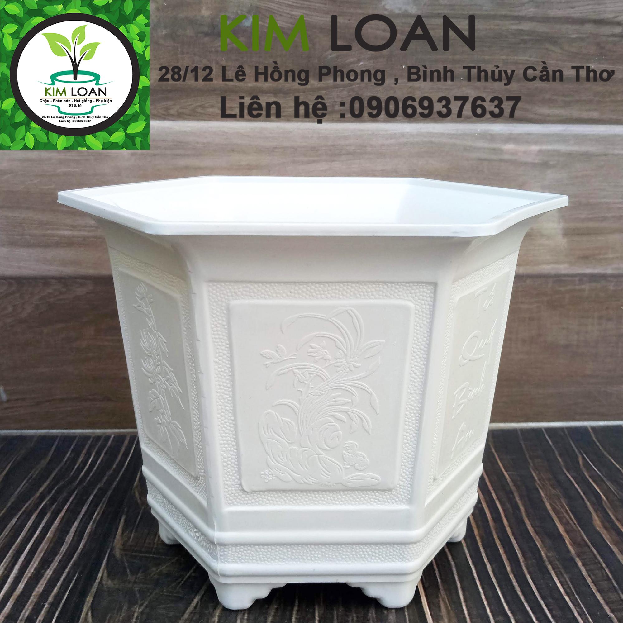 Combo 2 chậu nhựa lục giác trắng mini cao cấp 18x13cm