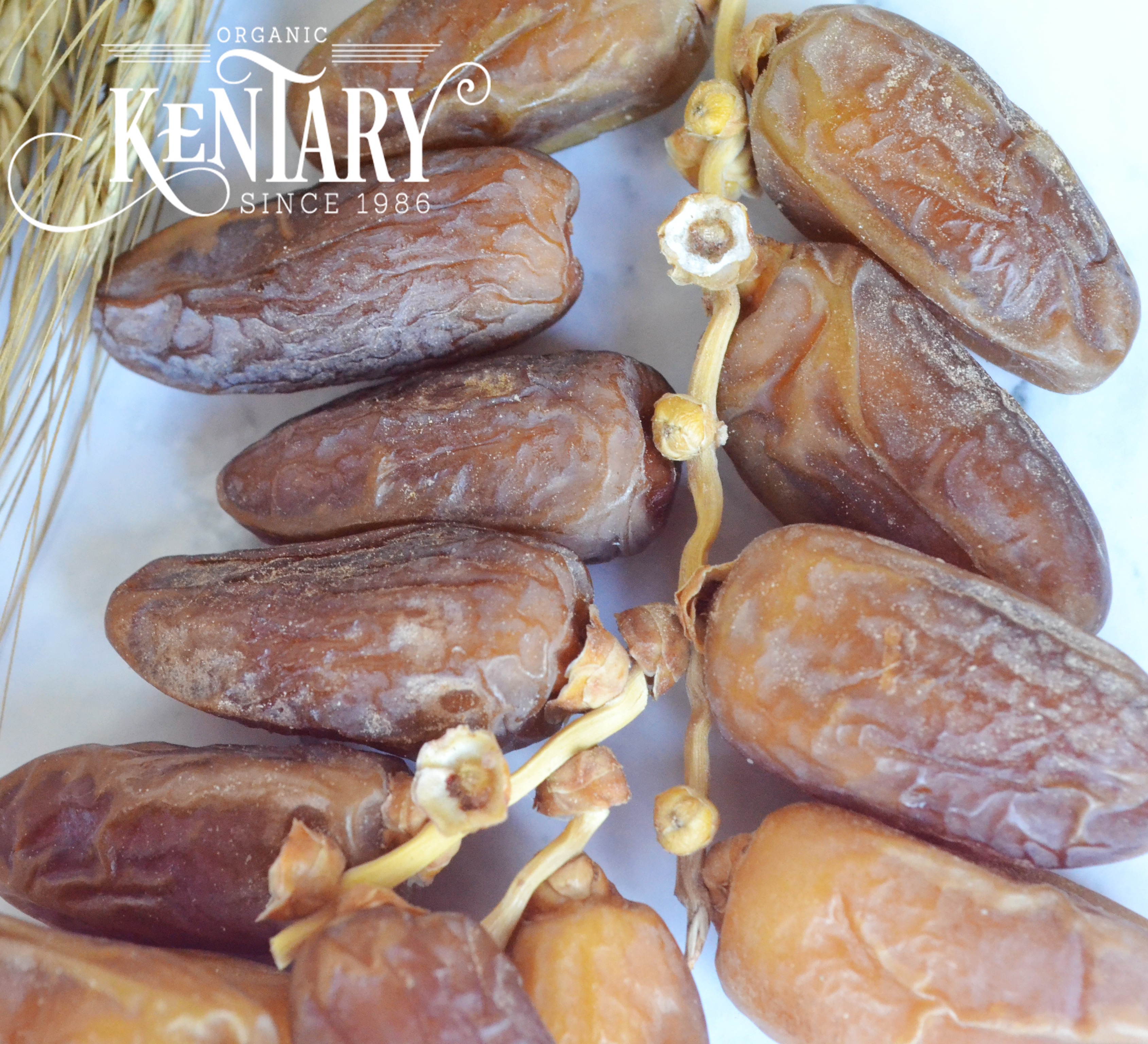 200g Chà Là Bắc Phi Nguyên Cành sấy không đường Kentary Mềm Vị Ngọt Đậm Đà