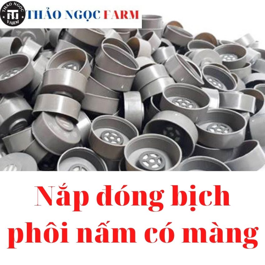 Nắp đậy bịch phôi nấm có màng lọc – nhựa chịu nhiệt.