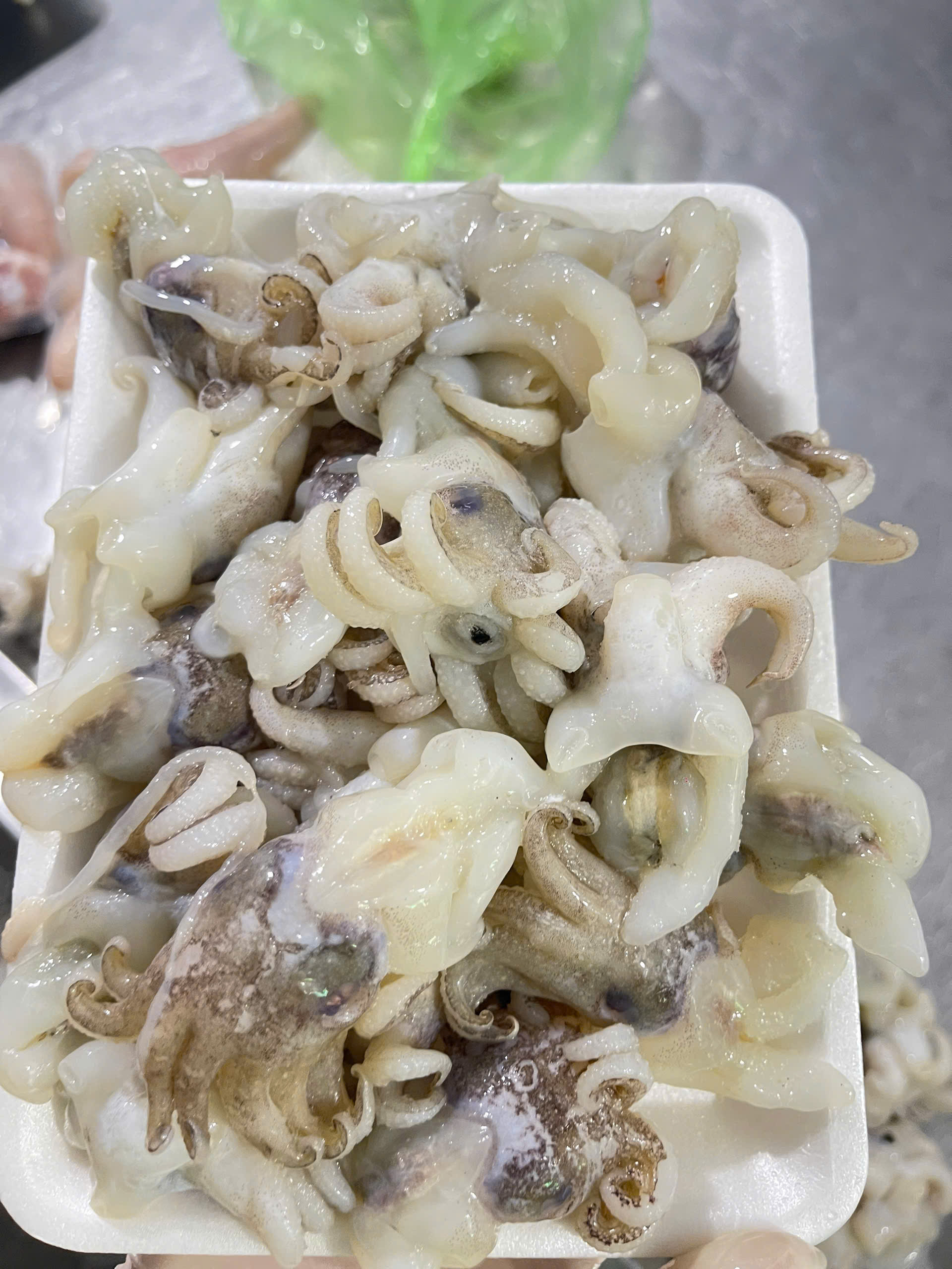 Đầu mực nang Size 15-20 cái - 500gram ( giao HCM )