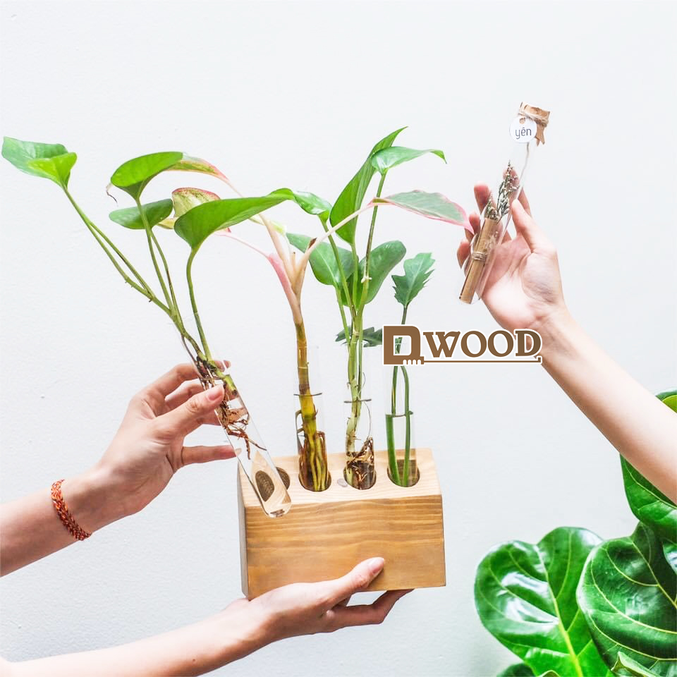 [HCM]Đế Gỗ Dwood Đựng Ống Nghiệm Trồng Cây Trang Trí - Mẫu tự chọn