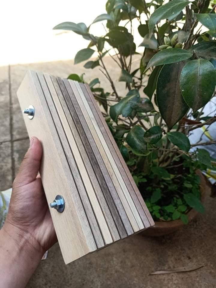 combo 5 - tệp thanh gỗ cho ruồi lính đen đẻ trứng