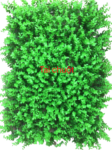 Tấm cỏ nhựa trang trí tường tai chuột