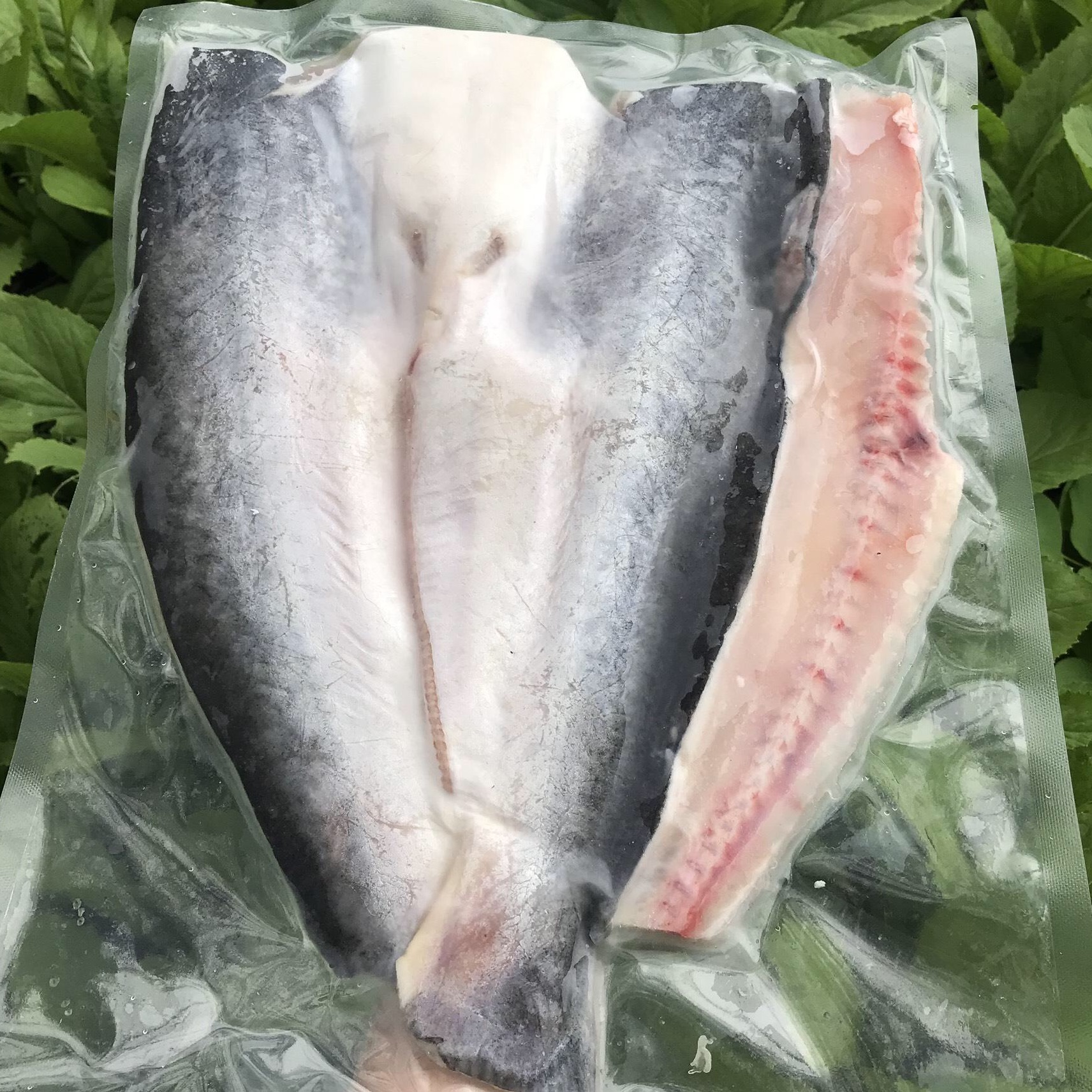 Cá Dứa Lai 1 nắng -1kg