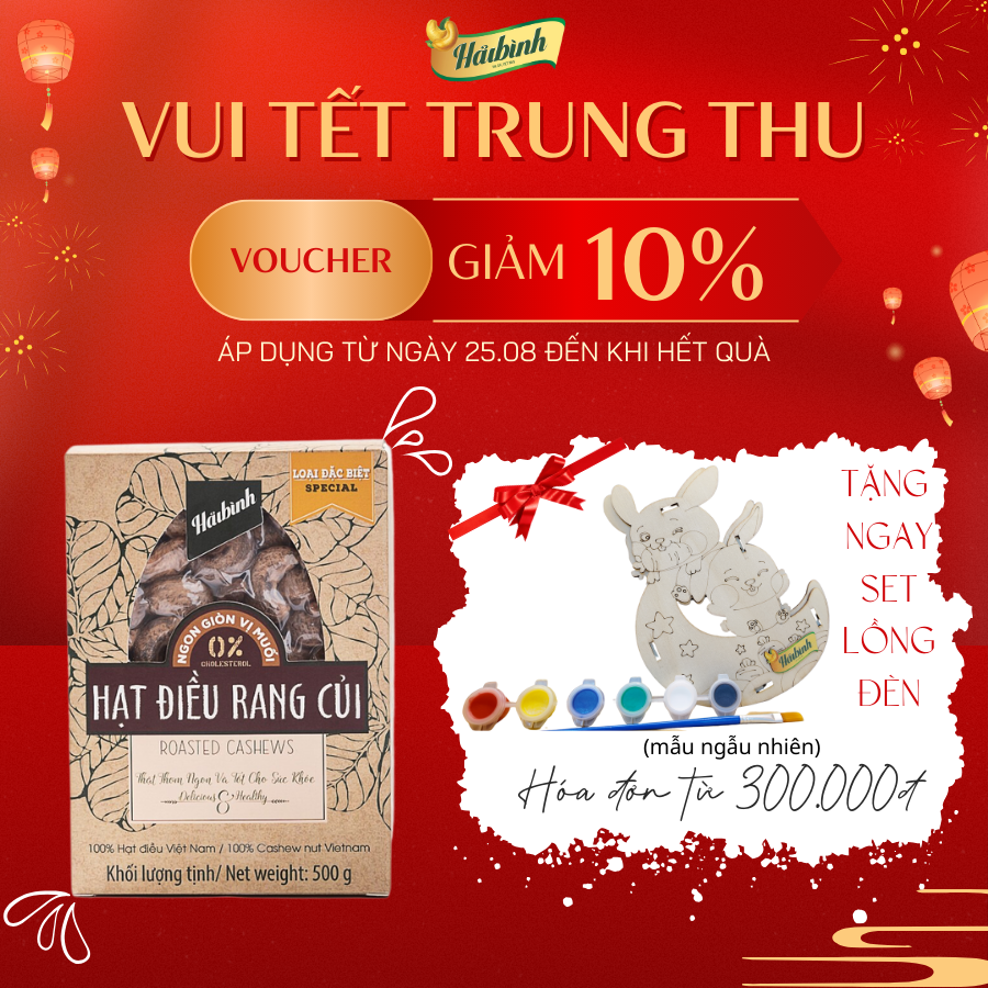 Hộp quà tặng hạt điều rang củi Hải Bình Gia Lai loại đặc biệt 500g- Hạt điều rang củi tự nhiên,an toàn,món ăn vặt thơm ngon, bổ dưỡng tròn vị