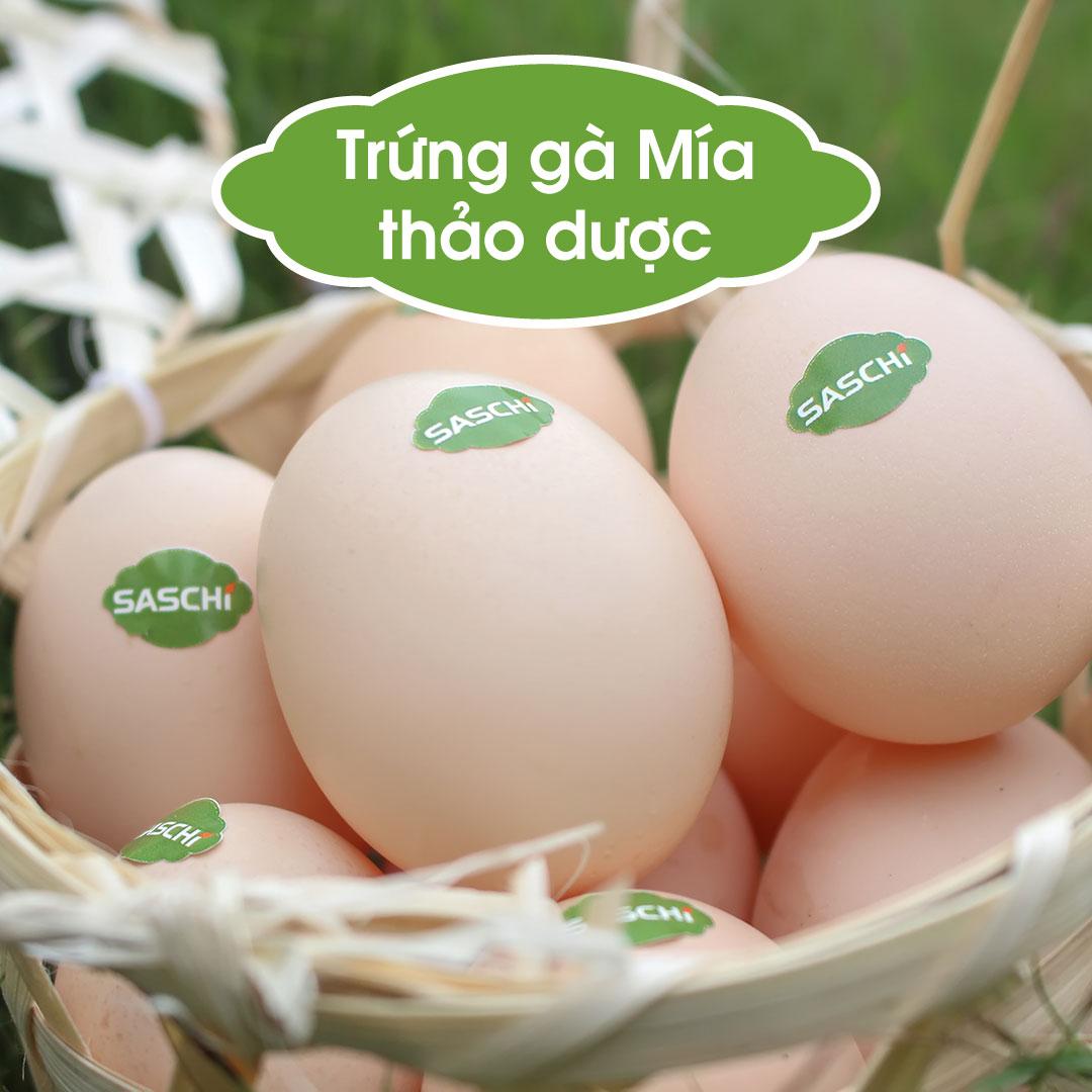 Trứng gà thảo dược Saschi - Hộp 10 quả