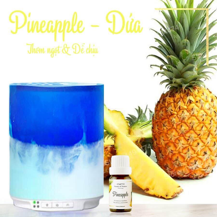 Tinh dầu xông phòng / organic / tinh hương trái cây tự nhiên - trái dứa nhập khẩu bỉ