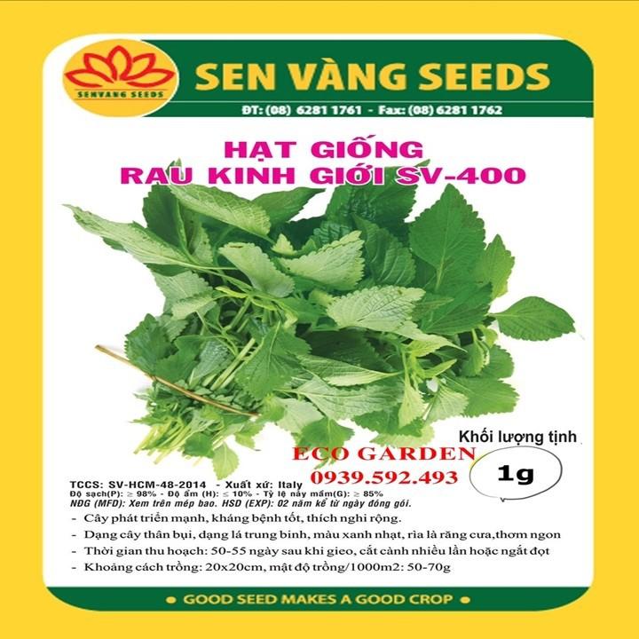HẠT GIỐNG RAU KINH GIỚI SV 400 - 0.5GR