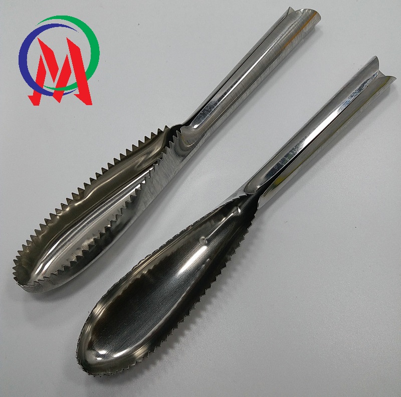 Combo 2 dụng cụ đánh vảy cá inox 23.3x3.5cm