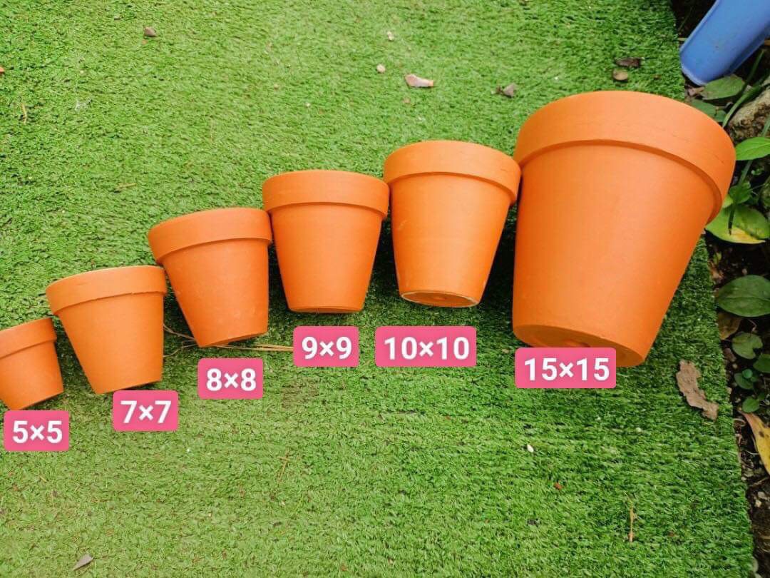 Chậu đất nung ly gờ size 5x5cm