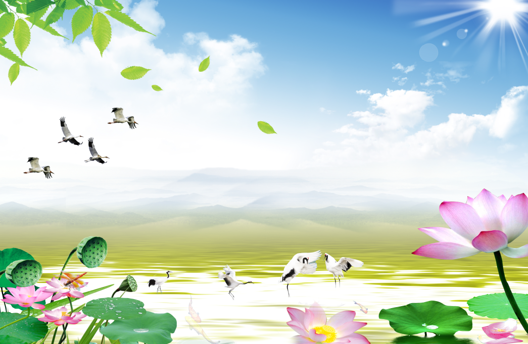 Tranh dán tường 3d phòng khách hoa sen
