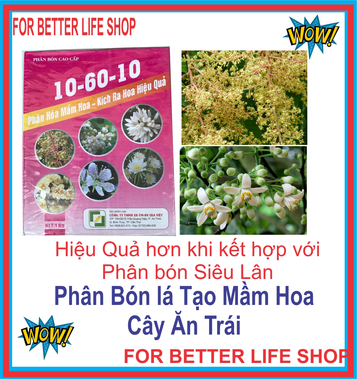 Phân bón lá tạo mầm hoa cây ăn trái 10 60 10 gói 1kg