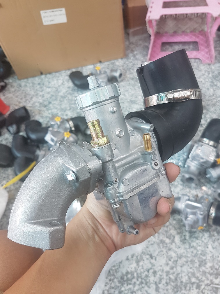 [HCM]Combo bình bông mai mã lai luôn co