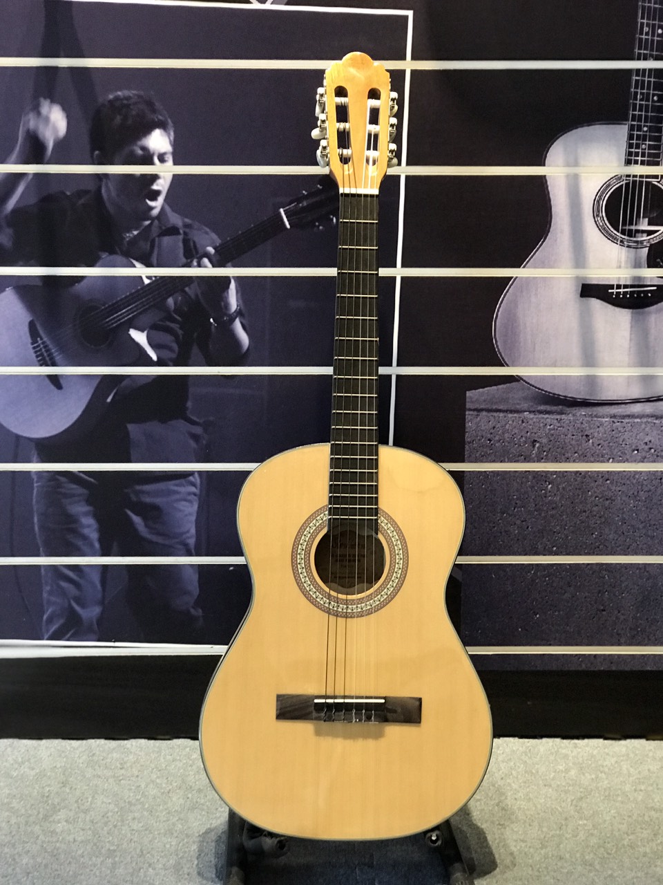 Đàn Guitar classic  3/4 REX HGW056 - Phân phối Sol.G