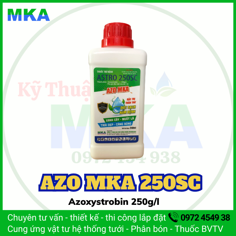 Azo MKA hoạt chất Azoxystrobin quản lý nấm phổ rộng