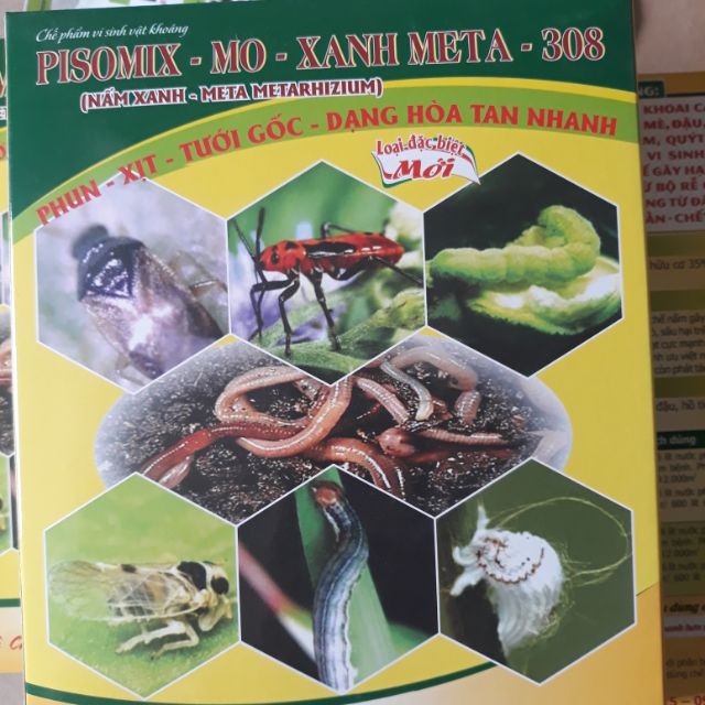 Nấm xanh phòng trừ rệp sáp, sùng đất, côn trùng gói 500gr cam kết hàng đúng mô tả chất lượng đảm bảo an toàn đến sức khỏe người sử dụng